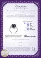 product certificate: UK-FW-B-AA-910-R-Katie