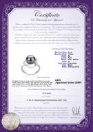 product certificate: UK-FW-B-AA-910-R-Sadie
