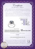 Product certificate: UK-FW-B-AA-910-R-Sadie