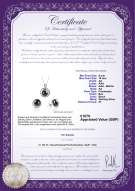 product certificate: UK-FW-B-AA-910-S-Kelly