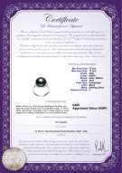product certificate: UK-FW-B-AAA-1112-R-Kalina