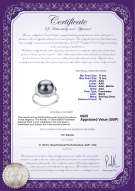 Product certificate: UK-FW-B-AAA-1112-R-Wendy