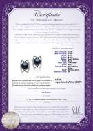 product certificate: UK-FW-B-AAA-89-E-Odelia