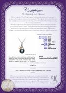 product certificate: UK-FW-B-AAA-89-P-Hester