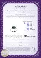 product certificate: UK-FW-B-AAA-89-R-Dacey