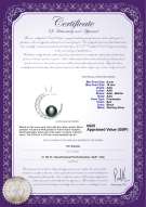 product certificate: UK-FW-B-AAA-910-P-Moon