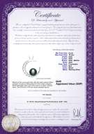 Product certificate: UK-FW-B-AAA-910-P-Moon