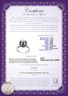 product certificate: UK-FW-B-AAAA-1011-R-Oana