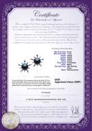 product certificate: UK-FW-B-AAAA-67-E-Jamelia