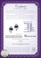 product certificate: UK-FW-B-AAAA-67-E-Lilia