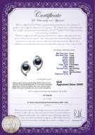 Product certificate: UK-FW-B-AAAA-67-E-Lilia