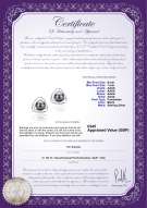 product certificate: UK-FW-B-AAAA-67-E-Rowan