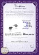 Product certificate: UK-FW-B-AAAA-67-E-Zorina