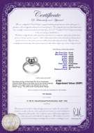 product certificate: UK-FW-B-AAAA-67-R-Heart