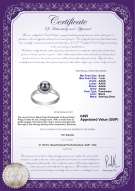 Product certificate: UK-FW-B-AAAA-67-R-Joy