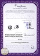 Product certificate: UK-FW-B-AAAA-78-E-Britt