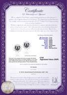 Product certificate: UK-FW-B-AAAA-78-E-Morgan