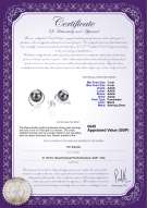 Product certificate: UK-FW-B-AAAA-78-E-Raina