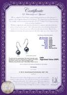 product certificate: UK-FW-B-AAAA-78-E-Yoko