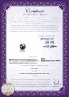 Product certificate: UK-FW-B-AAAA-78-L1