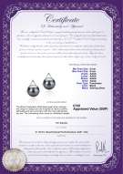 Product certificate: UK-FW-B-AAAA-89-E-Africa