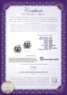 Product certificate: UK-FW-B-AAAA-89-E-Alba