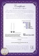 Product certificate: UK-FW-B-AAAA-89-E-Dottie