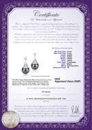 Product certificate: UK-FW-B-AAAA-89-E-Eiffer-Tower