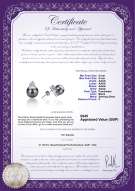 Product certificate: UK-FW-B-AAAA-89-E-Evelyn