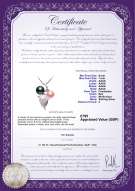 product certificate: UK-FW-BPW-AAAA-67-P-Grape