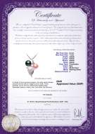 Product certificate: UK-FW-BPW-AAAA-67-P-Grape