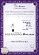 product certificate: UK-FW-BW-AAAA-58-P-Anita