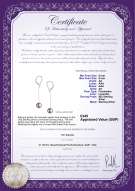 Product certificate: UK-FW-L-AA-89-E-Amy