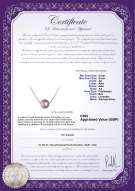 product certificate: UK-FW-L-AA-89-N-Madison