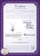 product certificate: UK-FW-L-AA-910-P-Leeza