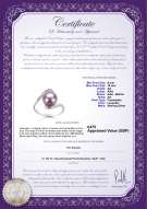 product certificate: UK-FW-L-AA-910-R-Chantel