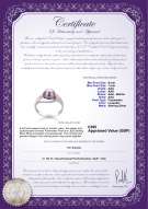 product certificate: UK-FW-L-AAA-67-R-Clare
