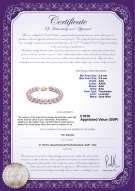 Product certificate: UK-FW-L-AAA-8595-B