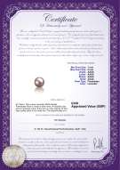 product certificate: UK-FW-L-AAAA-78-L1
