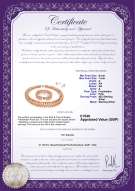 Product certificate: UK-FW-P-A-67-S-DBL