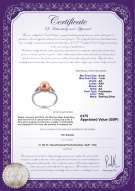 product certificate: UK-FW-P-AA-67-R-Jessica