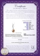 product certificate: UK-FW-P-AA-910-P-Naomi