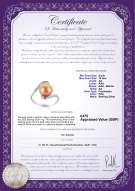 product certificate: UK-FW-P-AA-910-R-Chantel