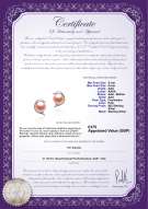 Product certificate: UK-FW-P-AAA-56-E-Dolphin