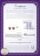 product certificate: UK-FW-P-AAAA-1011-E