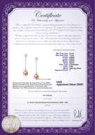 Product certificate: UK-FW-P-AAAA-67-E-Ingrid