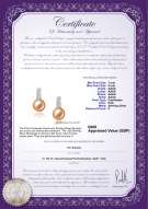 product certificate: UK-FW-P-AAAA-78-E-Valery