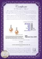 Product certificate: UK-FW-P-AAAA-78-E-Valery