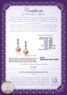 product certificate: UK-FW-P-AAAA-910-E-Rozene
