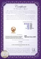 product certificate: UK-FW-P-AAAA-910-L1